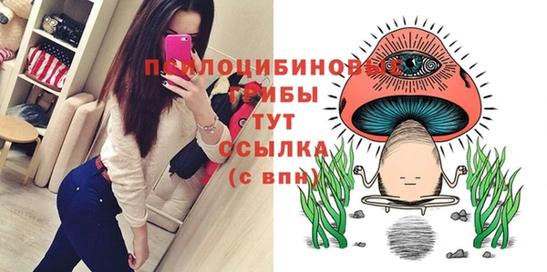 амф Аркадак